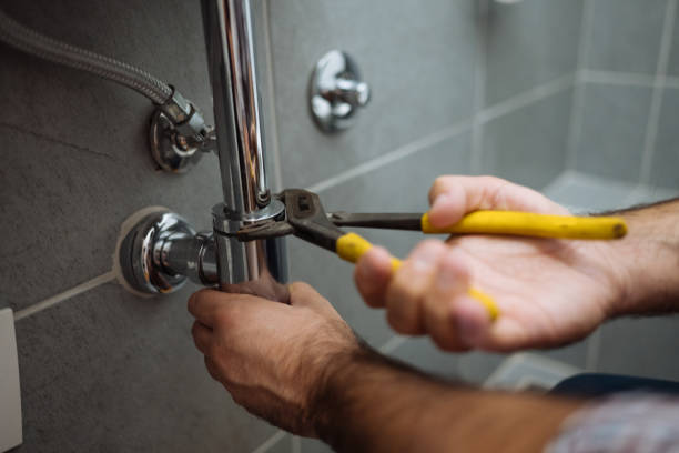 Best Plumbing Inspection Services  in Crivitz, WI